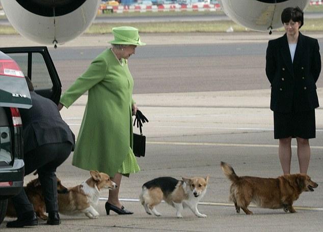 陪伴英女王的最后一批柯基犬 第1页