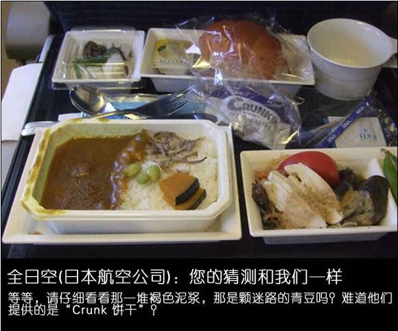 经济舱食物vs头等舱食物让你认清残酷现实(16) 第16页