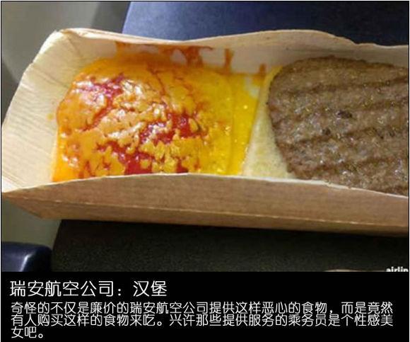 经济舱食物vs头等舱食物让你认清残酷现实(17) 第17页