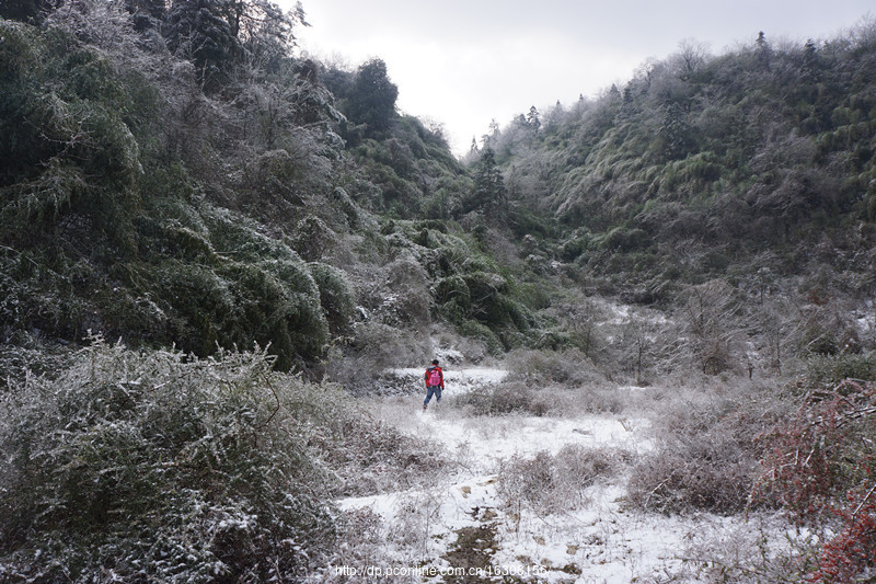 六龙山踏雪(13) 第13页