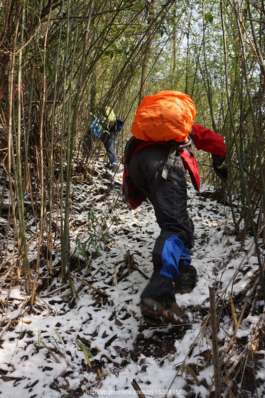 六龙山踏雪(4) 第4页