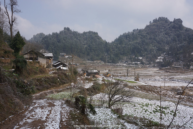 六龙山踏雪(8) 第8页