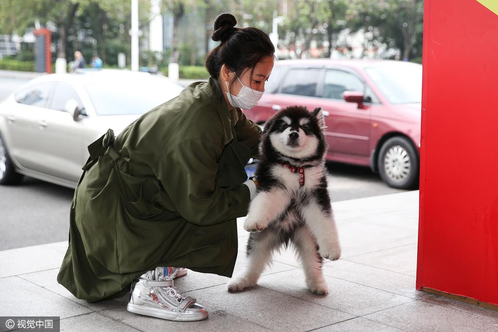 这长腿!逆天了! 王上源女友不愧是表演系的(4) 第4页