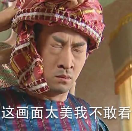 画面太美不敢看