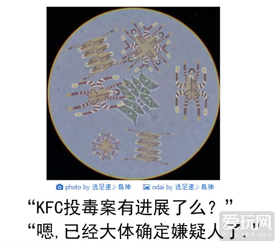 本周囧雷傻缺无聊图734(27) 第27页