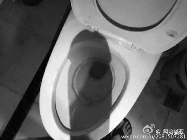 爆笑囧图：告诉你什么是真正的绝望！(10) 第10页