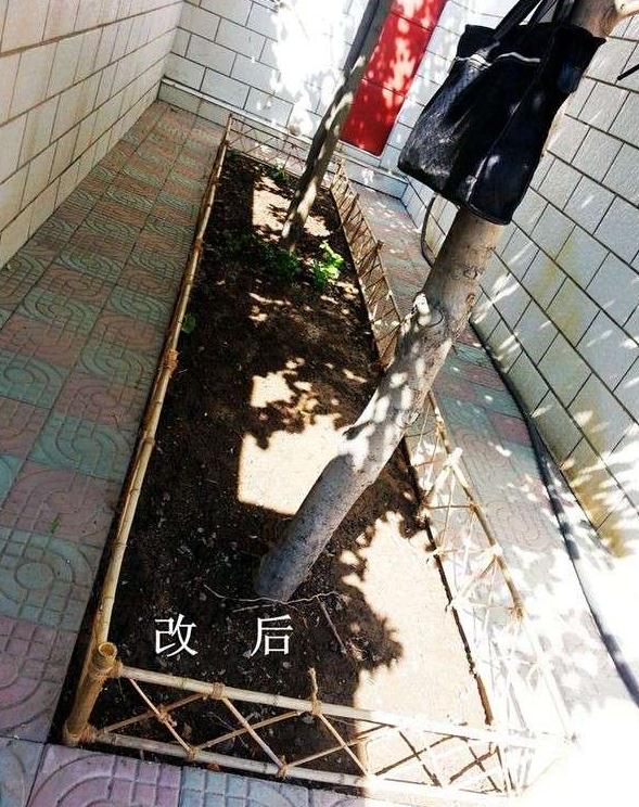 新疆大汉自装110平小楼 荒地变清新小院(11) 第11页