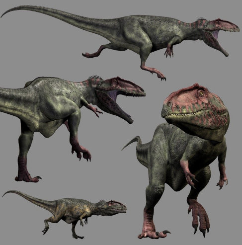 十大肉食恐龙排行榜 霸王龙竟然不是第一