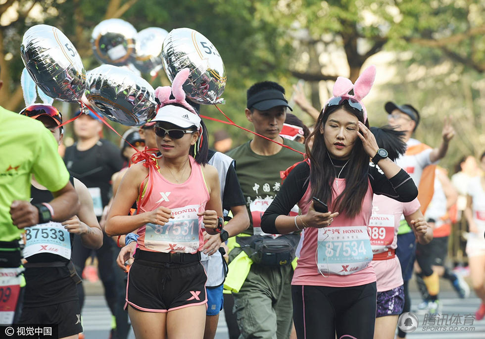 高清：导航犬现身杭马赛道 "阿拉伯美女"引围观(4) 第4页