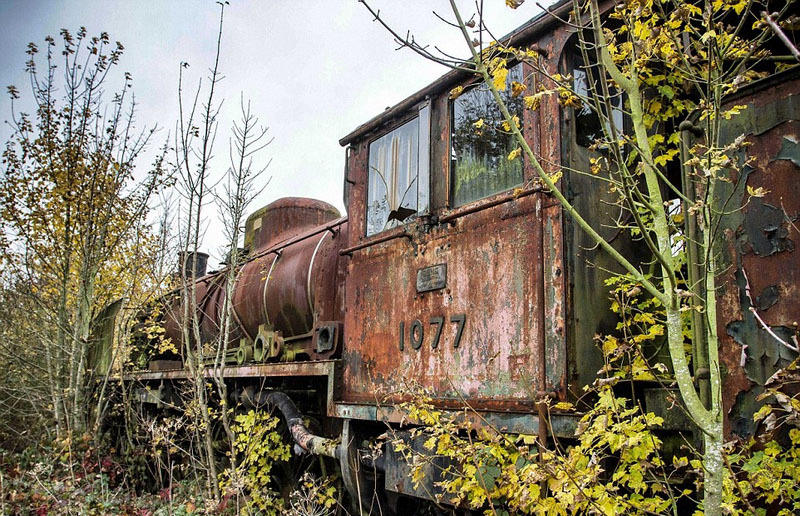 英废弃蒸汽火车被丛林掩映很神秘(2) 第2页