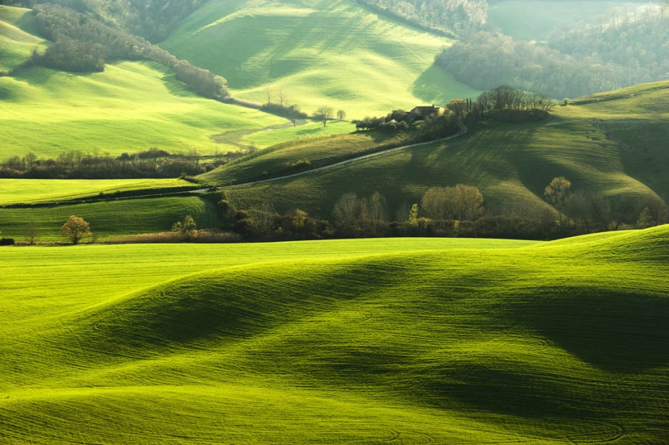绿色护眼的山坡风景图片