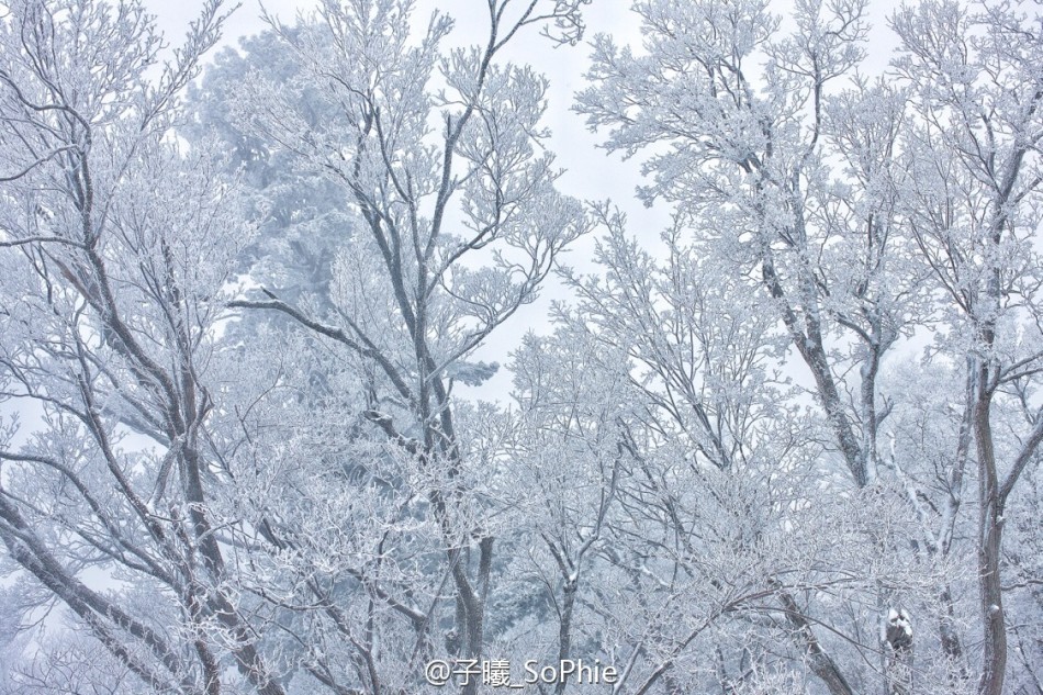 美女人妻与王思聪滑雪(9) 第9页