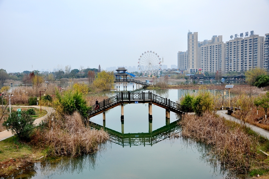 长沙洋湖城市湿地公园 第1页