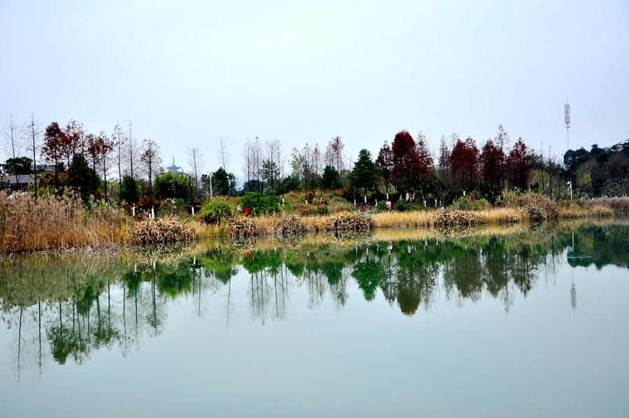 长沙洋湖城市湿地公园