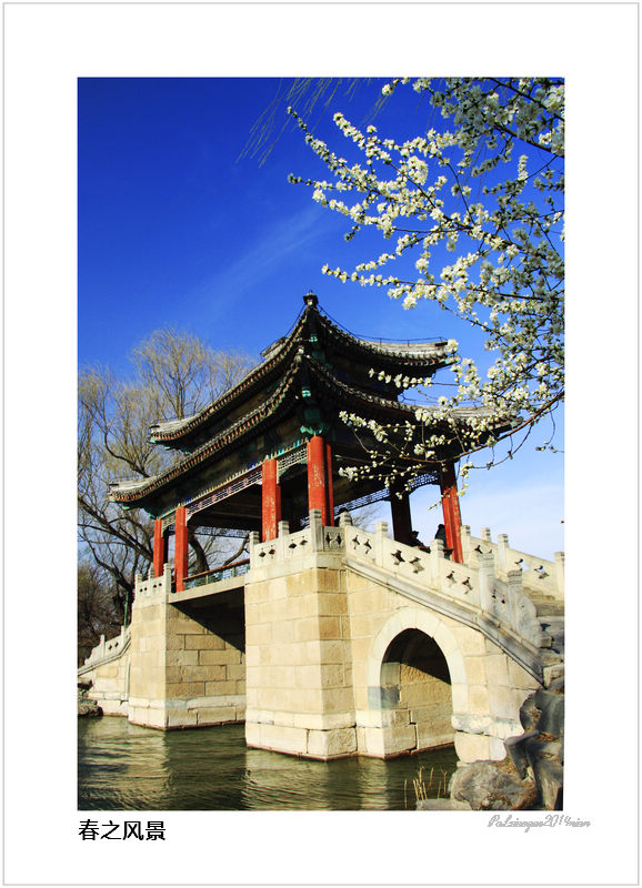 摄影图片 颐和园景色迷人的春天风景 第1页