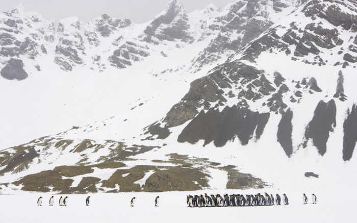 冰天雪地，浪漫唯美雪景，精彩纷呈 第1页