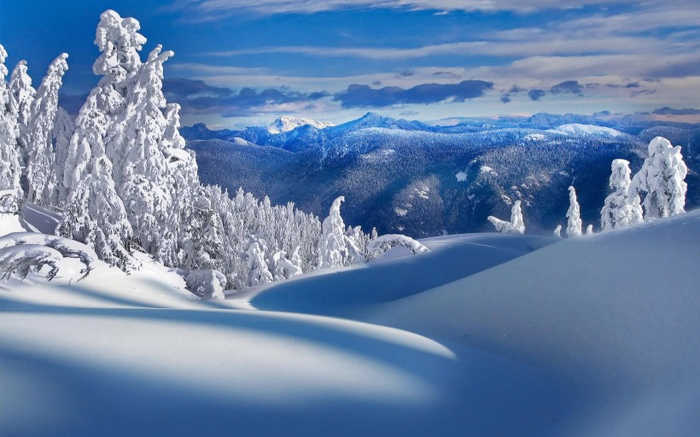 冰天雪地，浪漫唯美雪景，精彩纷呈(3) 第3页