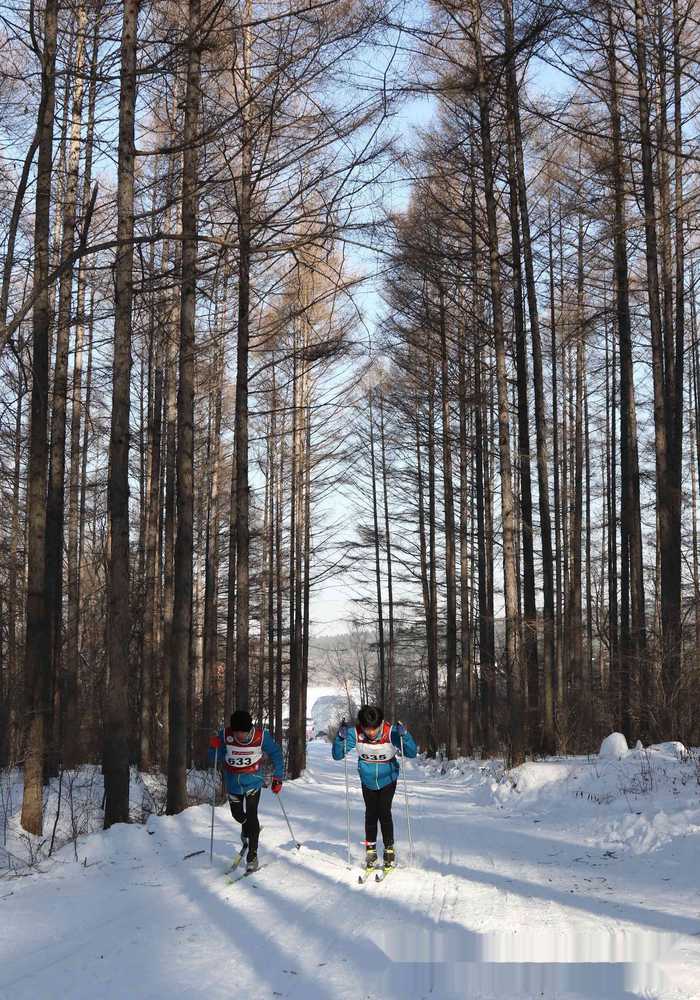 2017净月潭瓦萨国际滑雪节经典滑雪赛赛况(13) 第13页