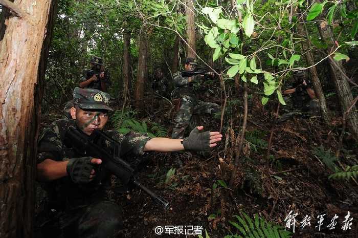 二炮特种警卫生吃蛇肉吞青蛙 第1页