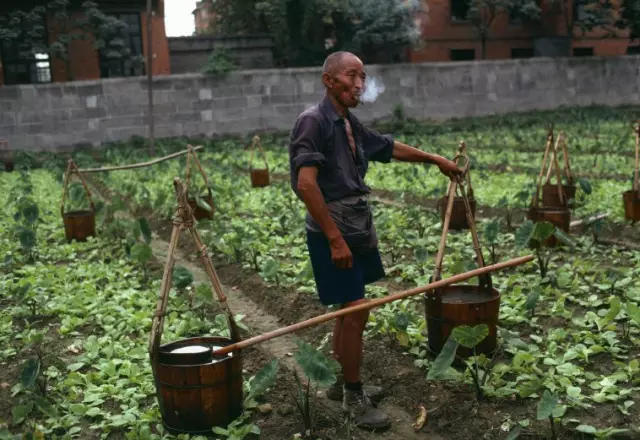 1979，中国的素颜时刻(6) 第6页