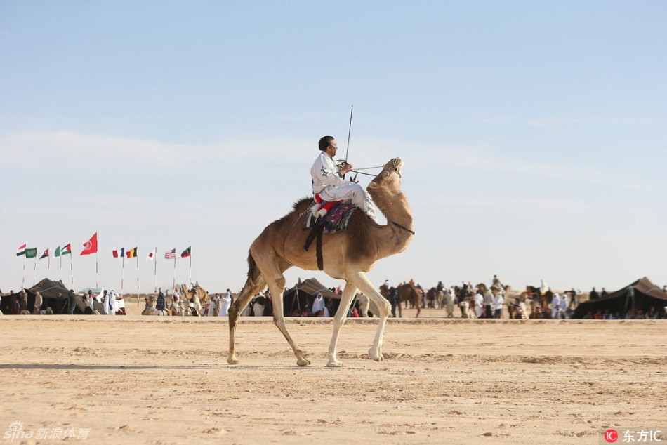 赛马斗骆驼欢庆国际撒哈拉节 第1页
