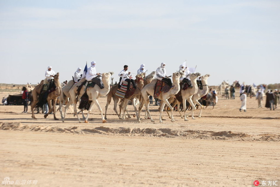 赛马斗骆驼欢庆国际撒哈拉节(15) 第15页