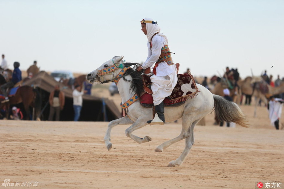 赛马斗骆驼欢庆国际撒哈拉节(6) 第6页