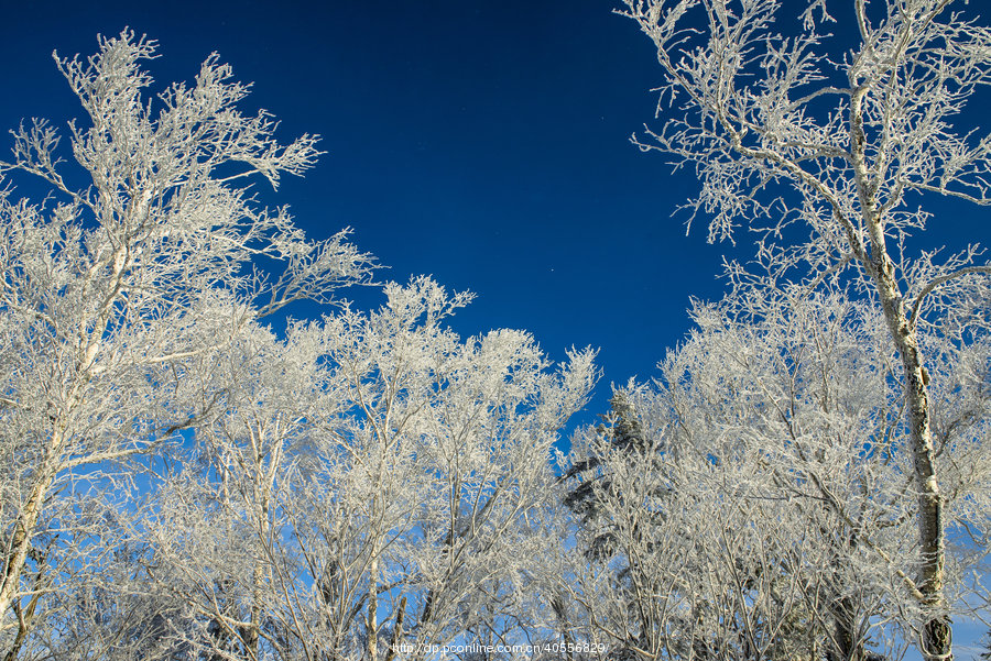 林海雪原(2) 第2页