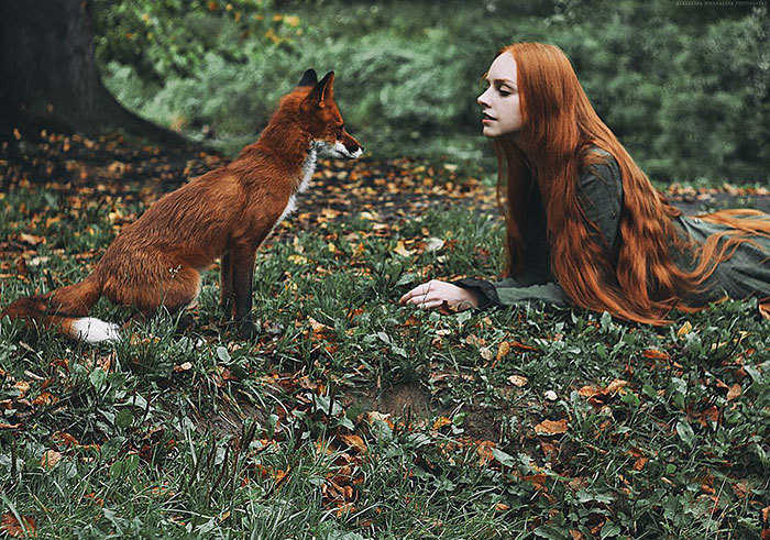 丛林童话 红发少女与赤狐的梦幻人像(4) 第4页