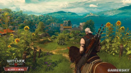 《巫师3：狂猎（The Witcher 3: Wild Hunt）》游戏截图(33) 第33页