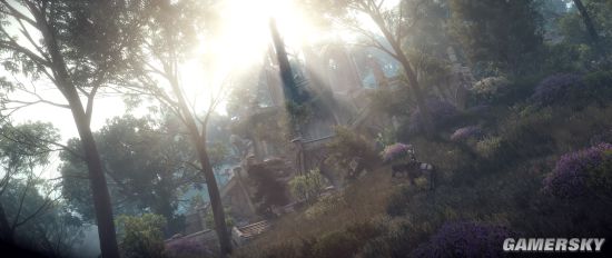 《巫师3：狂猎（The Witcher 3: Wild Hunt）》游戏截图(2) 第2页