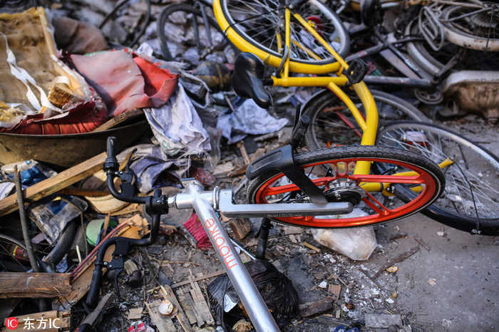 北京街头：共享单车“躺尸”垃圾堆 第1页