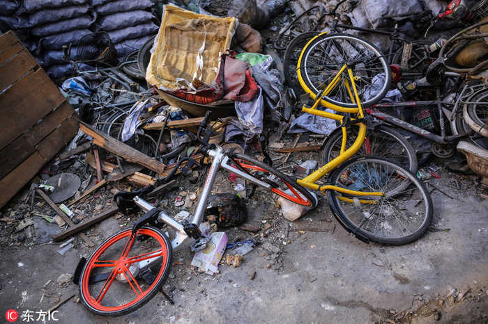 北京街头：共享单车“躺尸”垃圾堆(4) 第4页