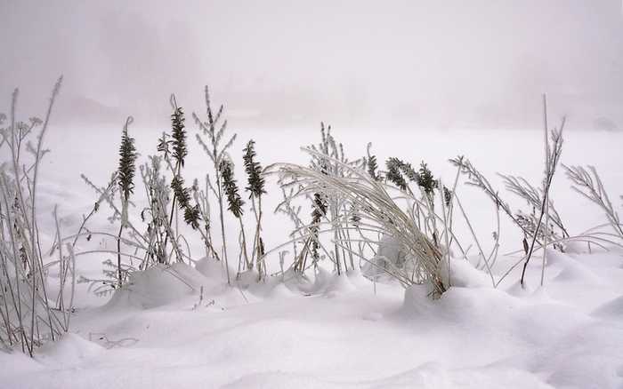 白雪皑皑，雪景冬季的唯美图片，强烈推荐！ 第1页