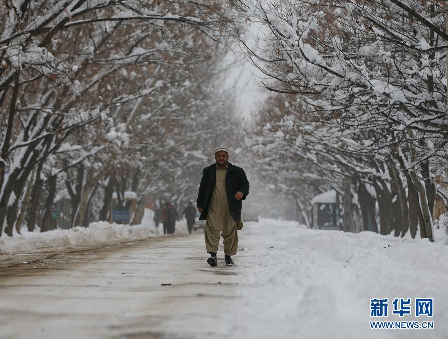 喀布尔降雪 儿童兴奋街头滑雪(4) 第4页