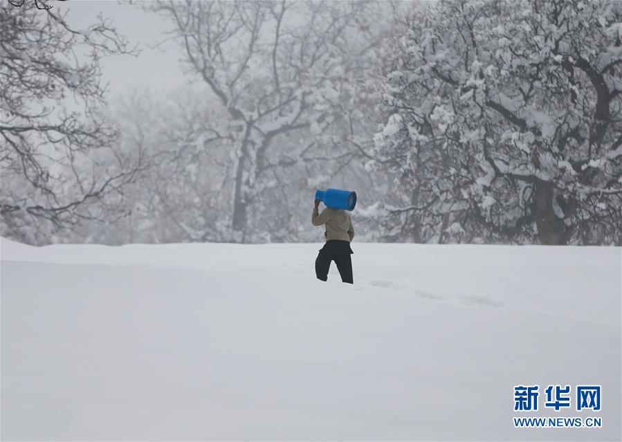 喀布尔降雪 儿童兴奋街头滑雪(5) 第5页