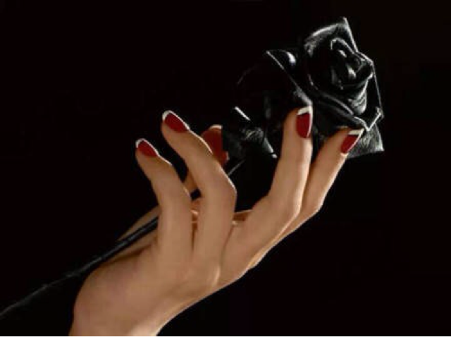 全世界最稀有的黑色玫瑰极罕见品种。它的花语是：你是恶魔，且为我所有(2) 第2页
