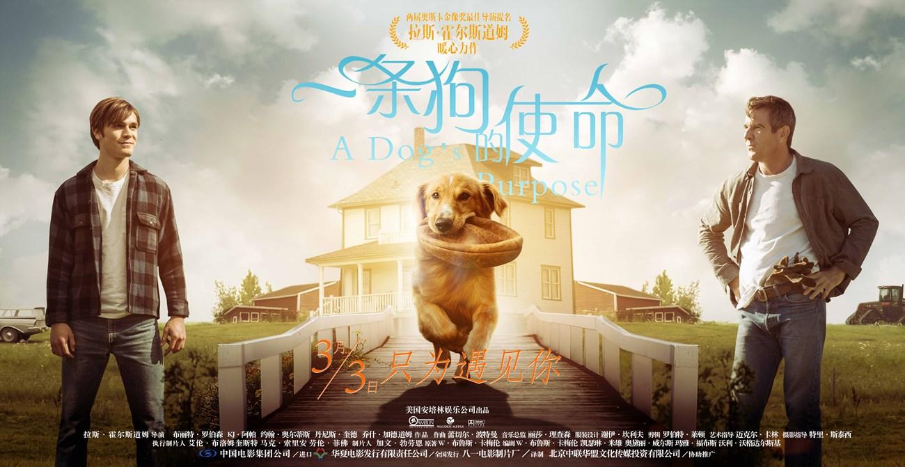 《一条狗的使命》2月25日全国点映