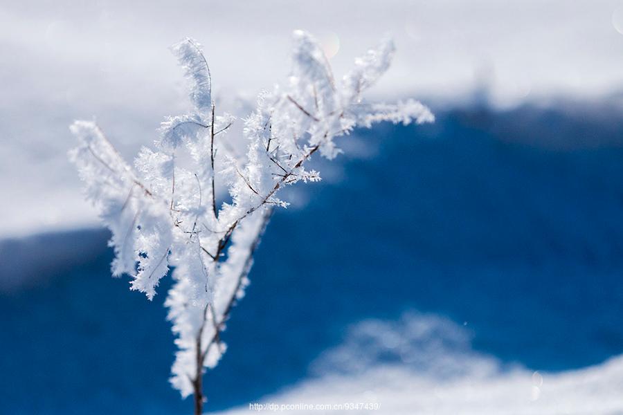 雪原清景(17) 第17页