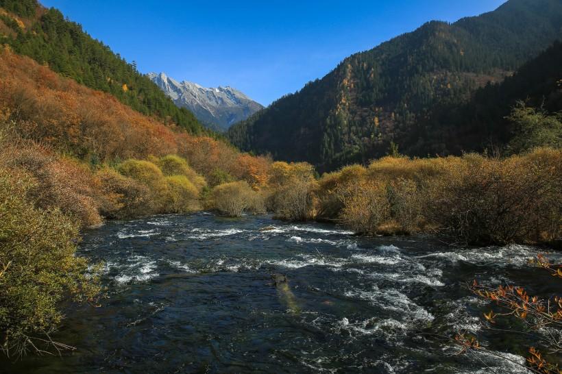 唯美的四川九寨沟风景图片(16) 第16页