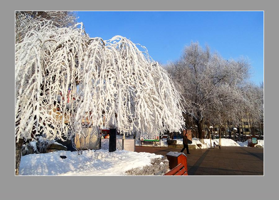 【雪上加霜】——乌鲁木齐“水磨沟公园”(2) 第2页