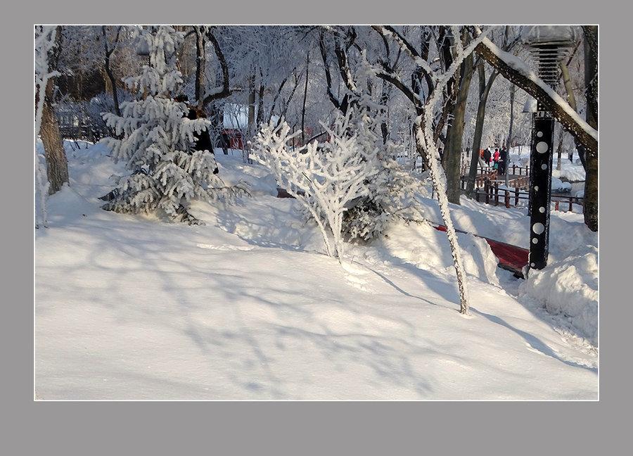 【雪上加霜】——乌鲁木齐“水磨沟公园”(4) 第4页