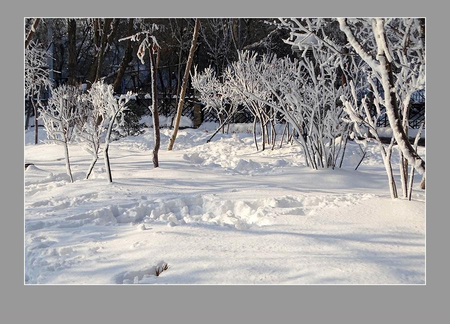 【雪上加霜】——乌鲁木齐“水磨沟公园”(5) 第5页