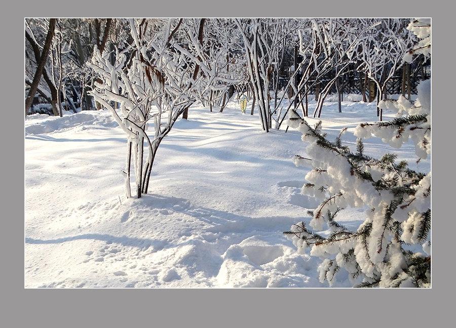 【雪上加霜】——乌鲁木齐“水磨沟公园”(9) 第9页