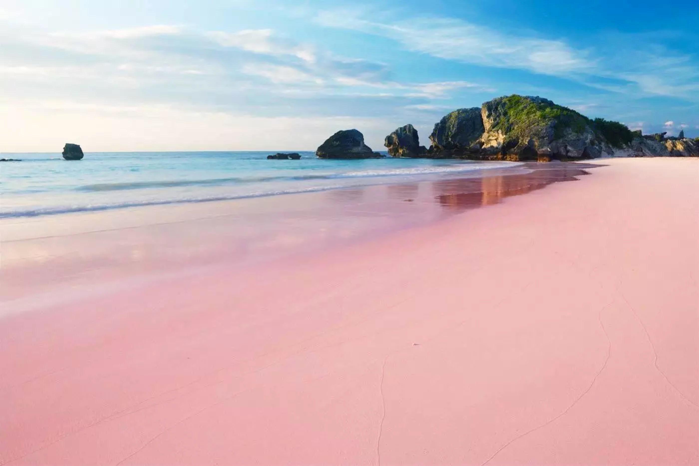带你探秘世界最美海滩，梦幻粉红沙滩岛国巴哈马 - 知乎