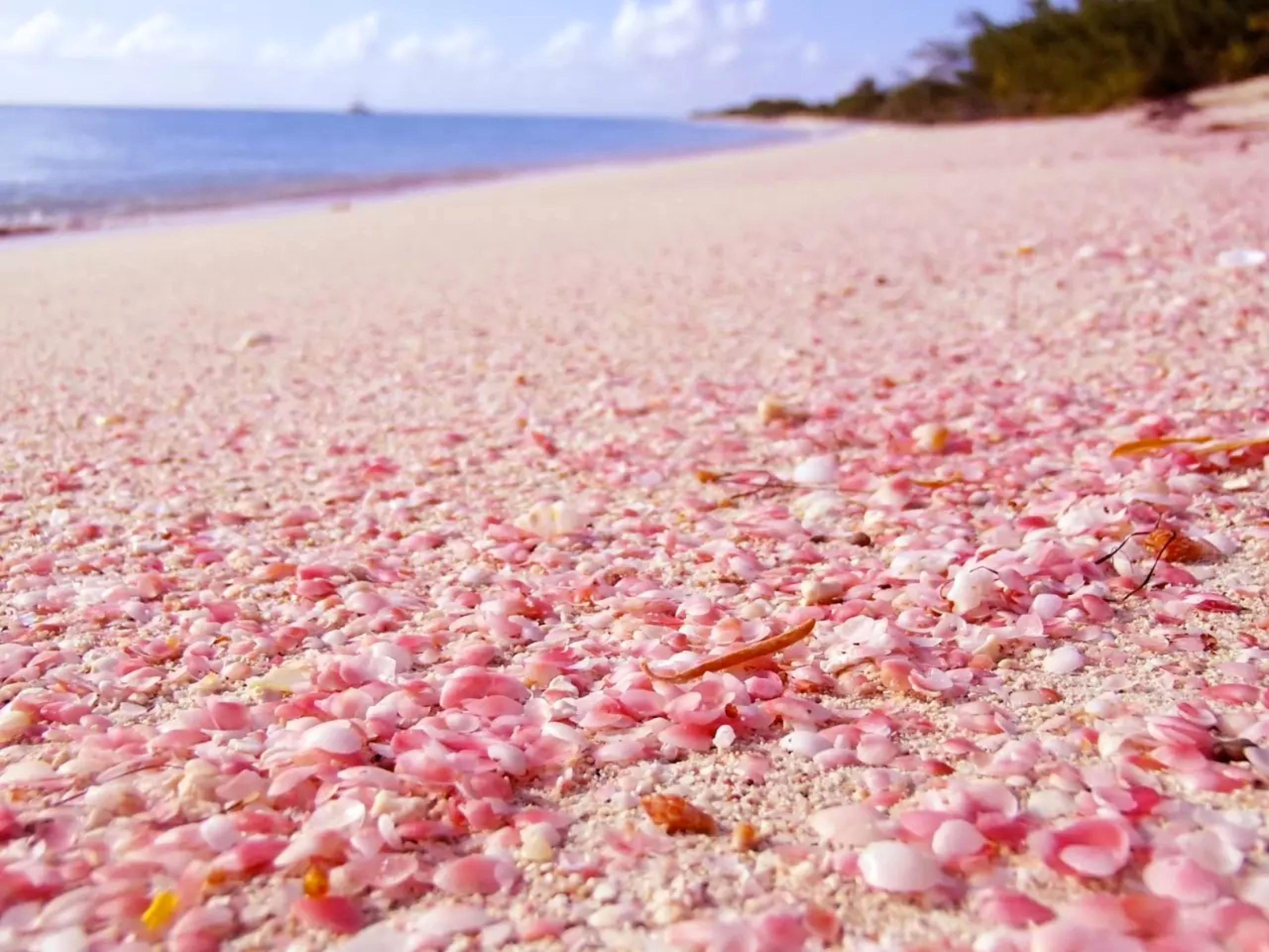 少女心炸裂,这些粉色沙滩你看过没?_图片新闻_东方头条