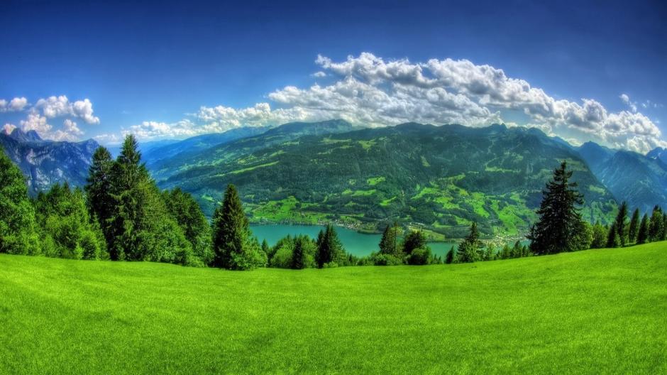 草原风光的图片大全 精选绿色护眼美丽的草原风光美景