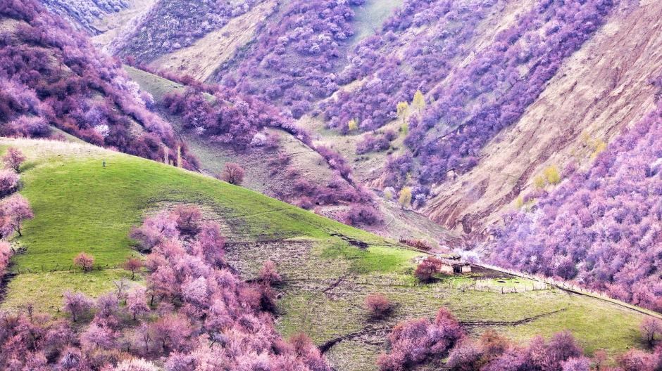 新疆伊犁雪景图片 新疆伊犁优美风景壁纸图片 第二辑