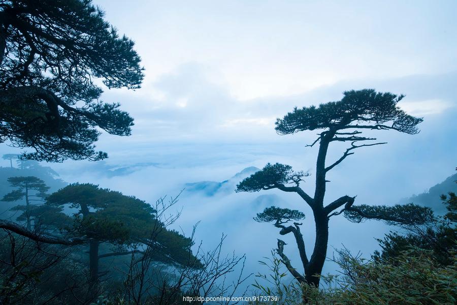 那是个美妙的地方-------三清山采风 第1页