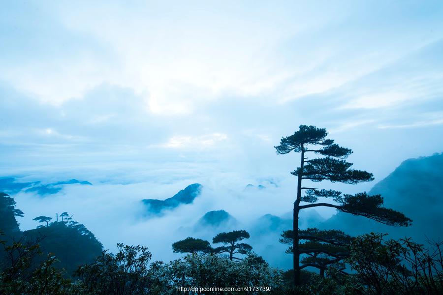 那是个美妙的地方-------三清山采风(2) 第2页